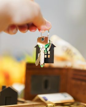 pexels-jakubzerdzicki-31221014