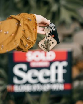 pexels-taryn-elliott-8549521